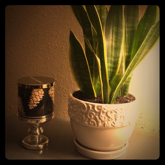 Meet your Posher, Jennifer - Picture 1 of 1